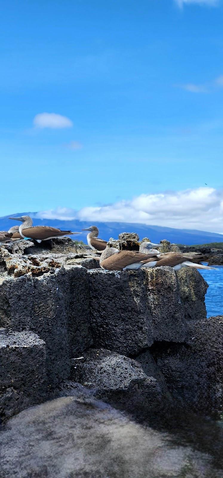 Sandee Urbina Bay Photo