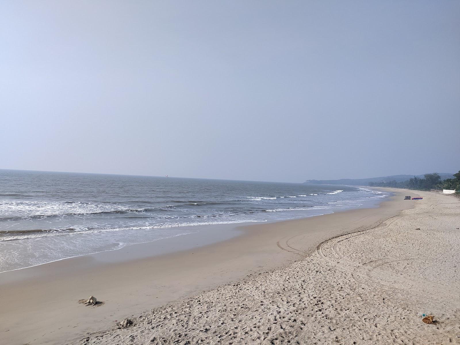 Sandee Sarve Beach