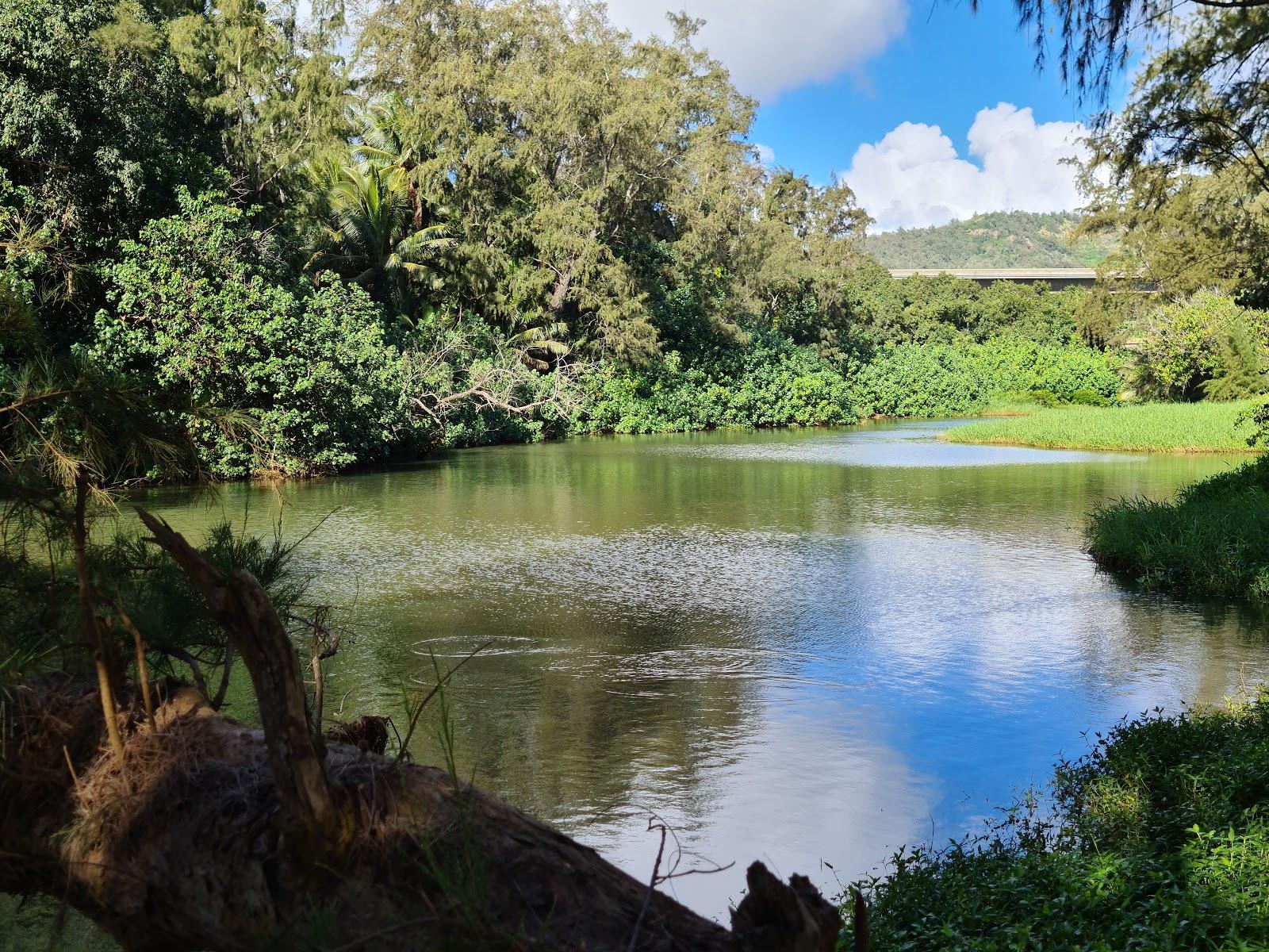 Sandee - Hanamaulu Beach Park