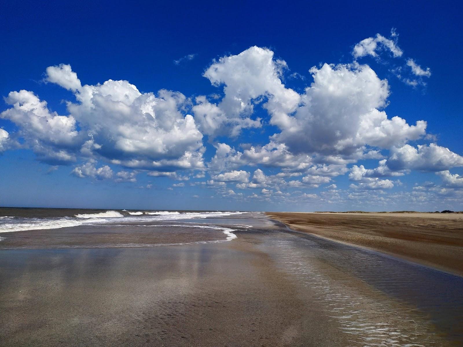 Sandee Punta Medanos