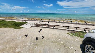 Sandee - Loop View Beach