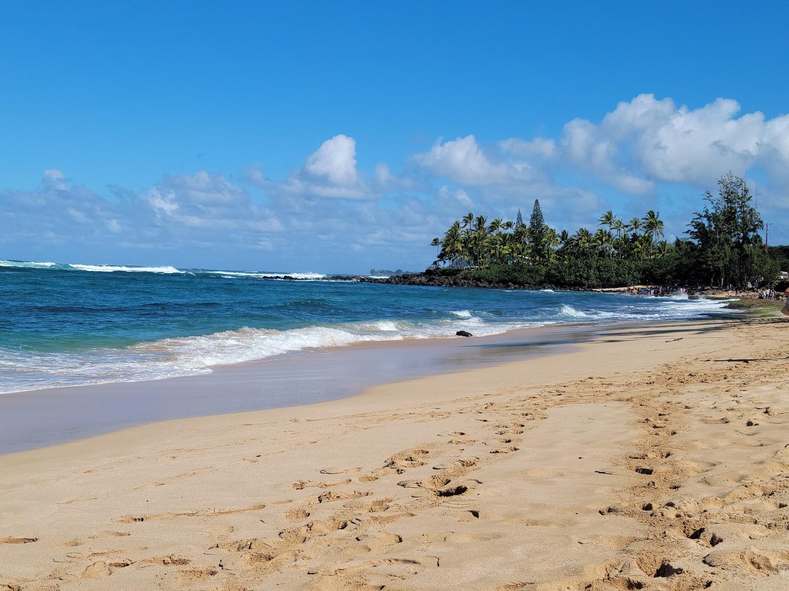 Sandee Ehukai Beach Park Photo