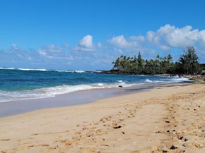 Sandee - Ehukai Beach Park