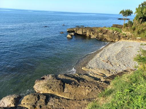 Sandee Bodimeli Beach And Tea Garden Photo