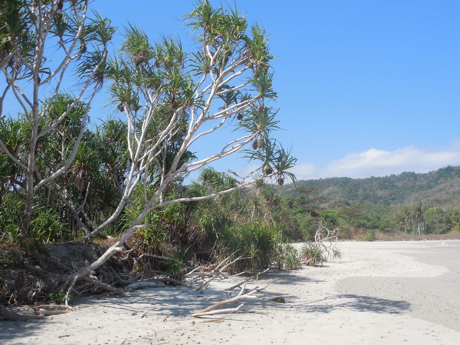 Sandee Angsana Beach Photo