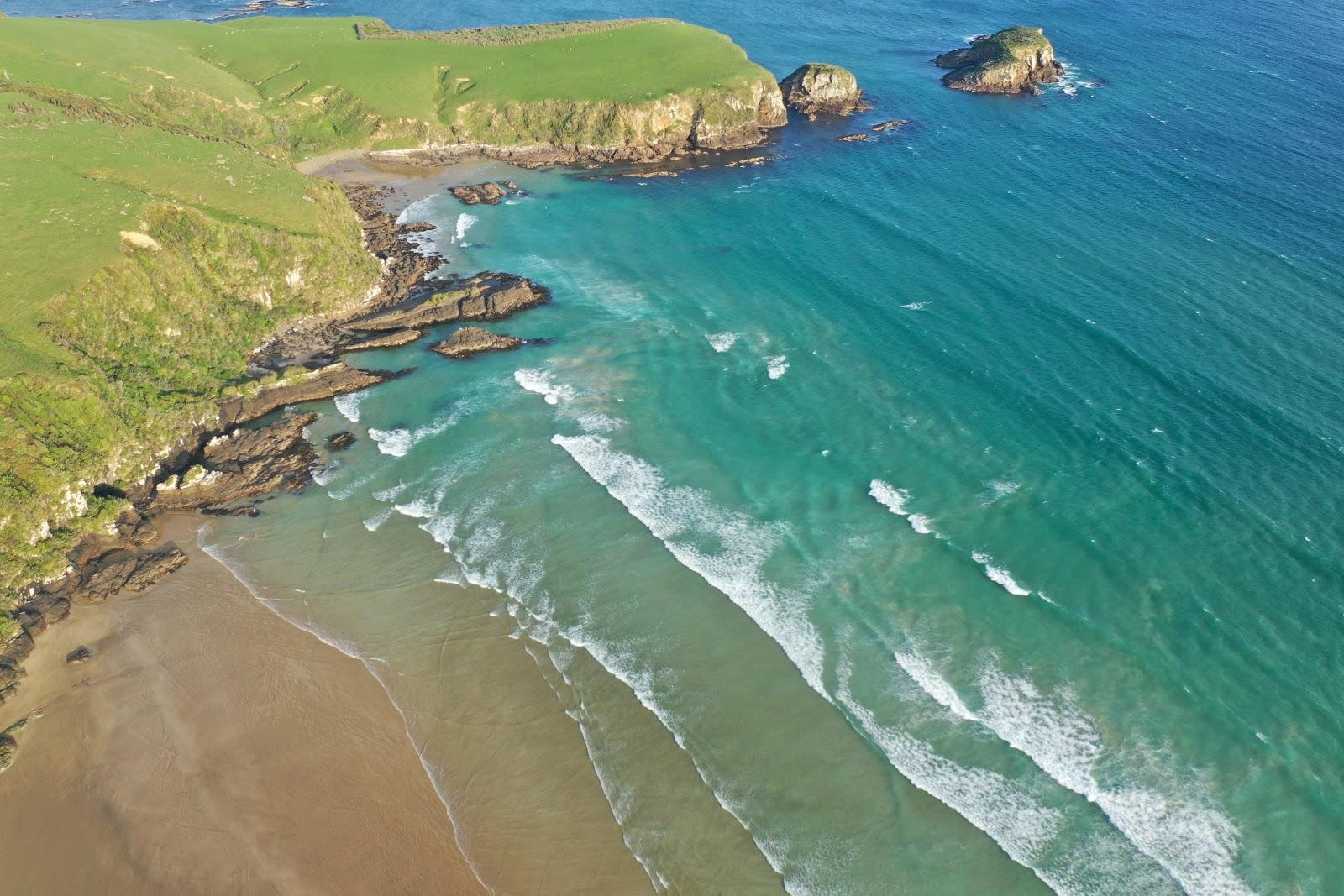 Sandee Tautuku Beach