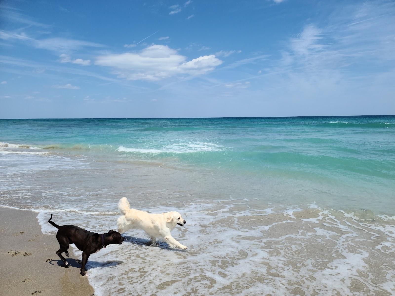 Sandee Walton Rocks Beach Photo