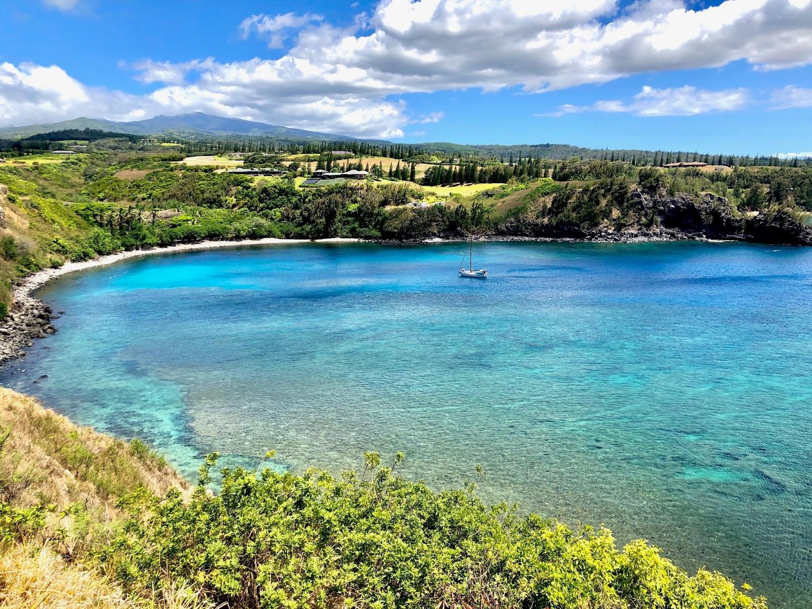 Sandee Honolua Bay Photo