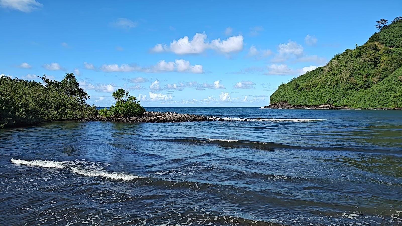 Sandee - Honomanu Bay Park