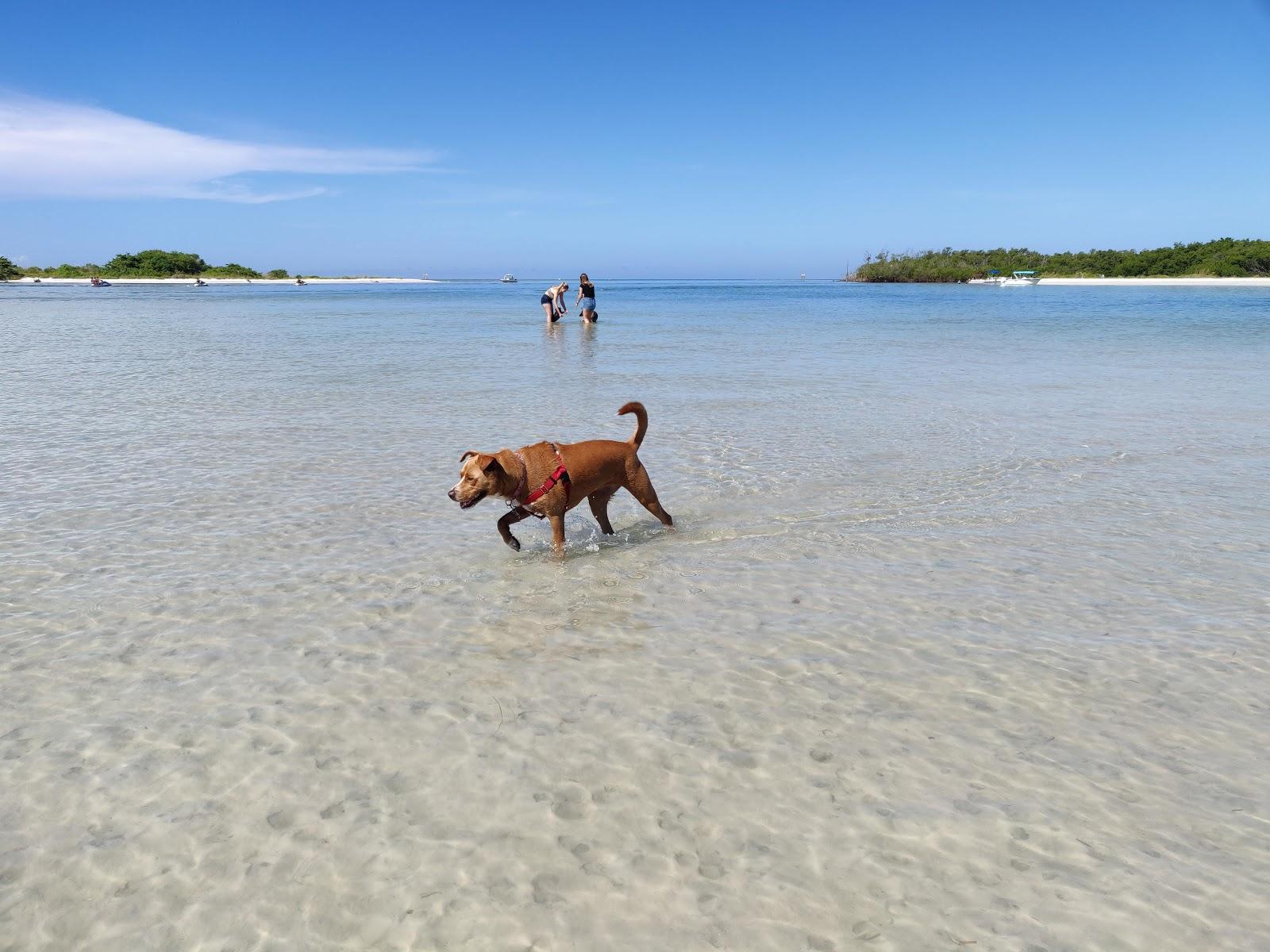 Sandee - Bonita Beach Dog Park