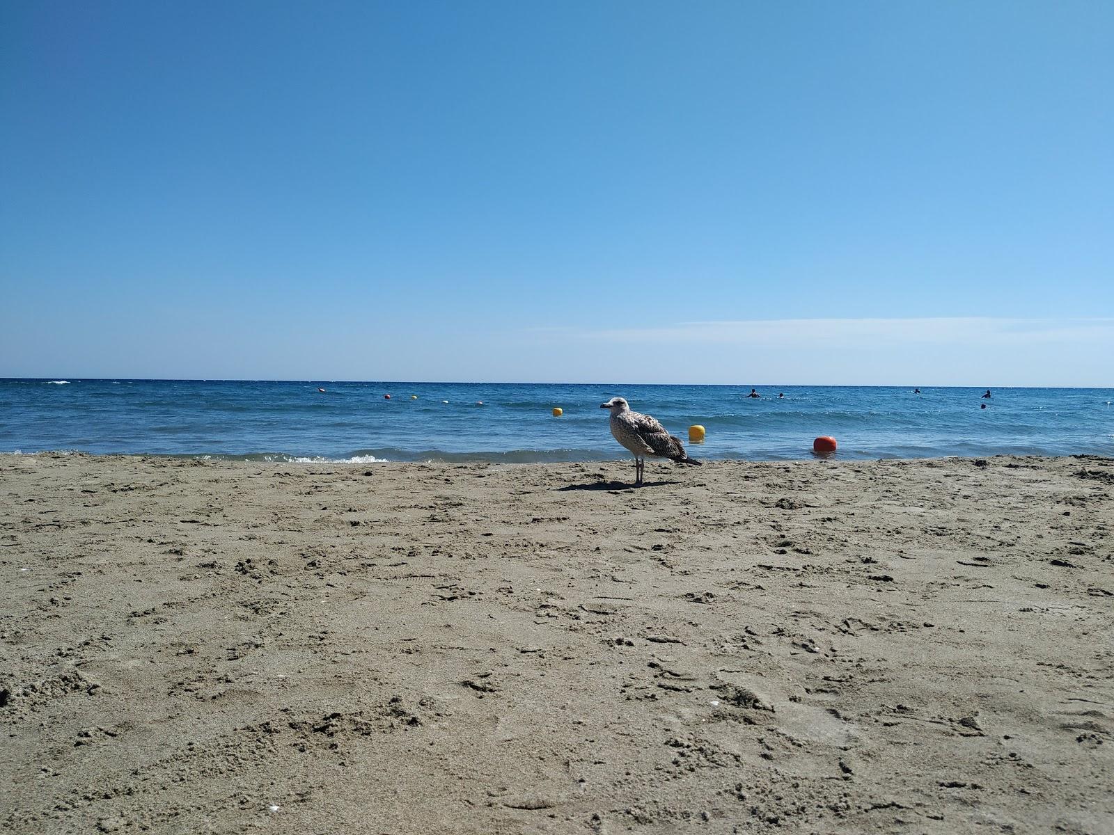 Sandee Miramare Beach