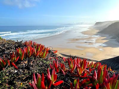 Sandee - Praia Das Pedras Muitas