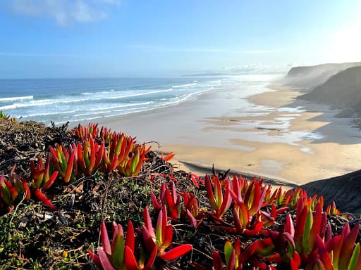 Sandee Praia Das Pedras Muitas Photo