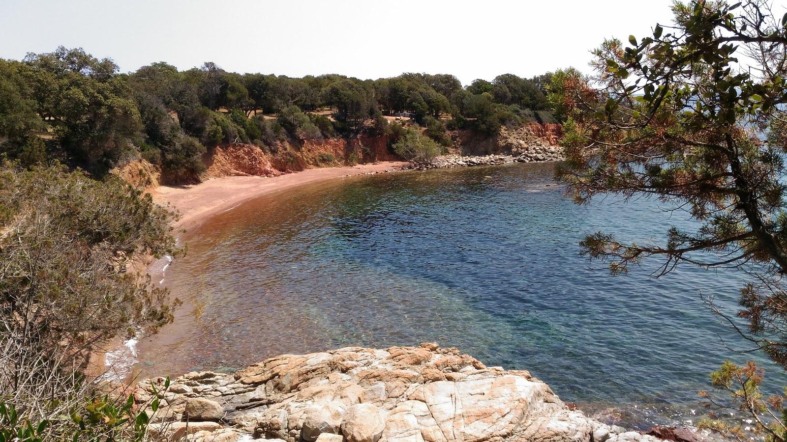 Sandee Punta D'Arasu