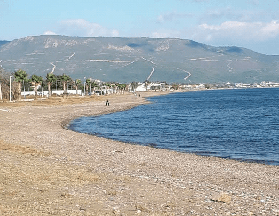 Sandee - Sakiz Agaci Beach