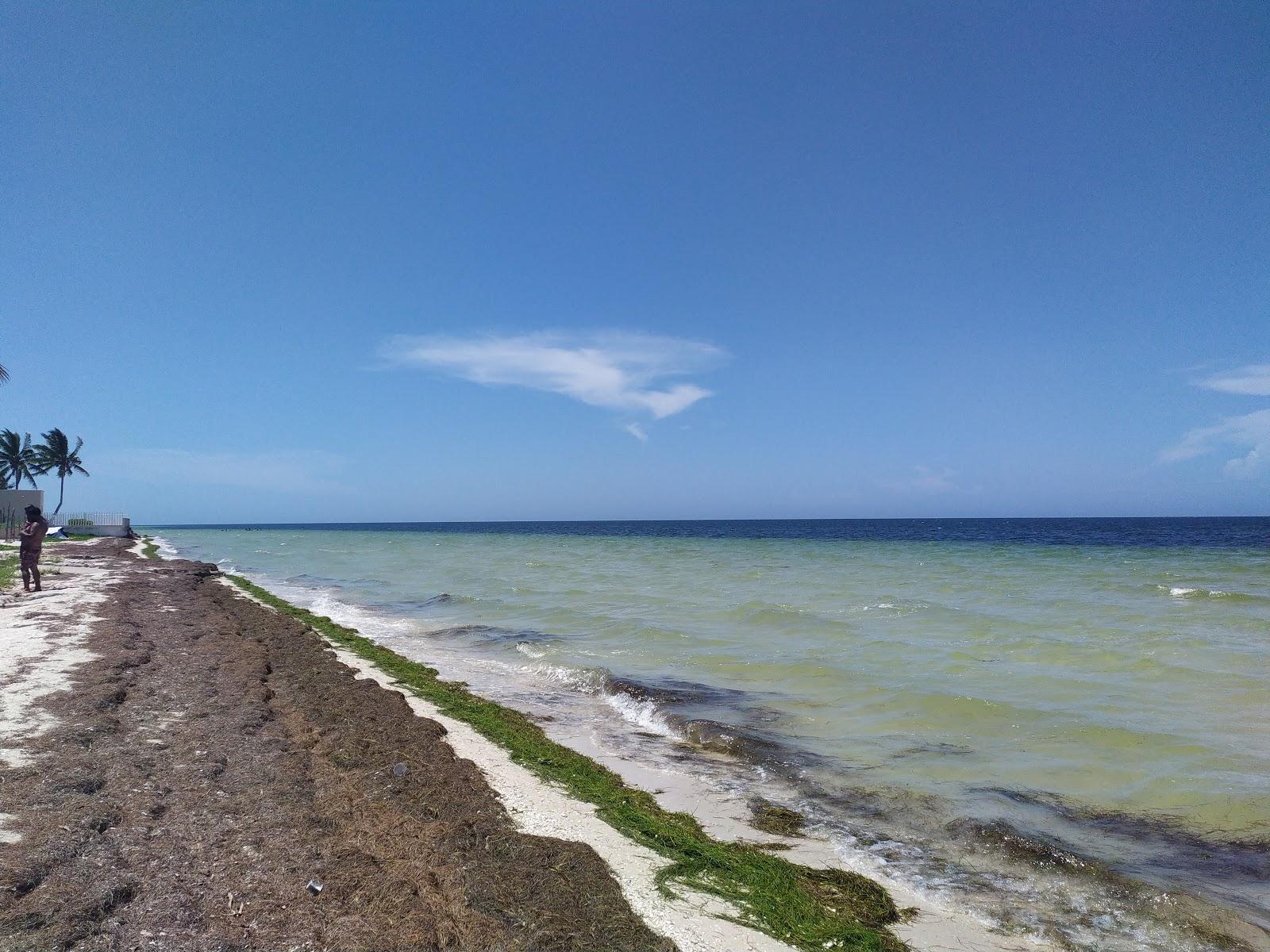 Sandee Playa San Crisanto