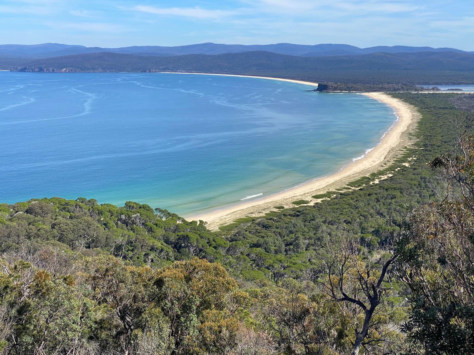 Sandee Wonboyn Beach