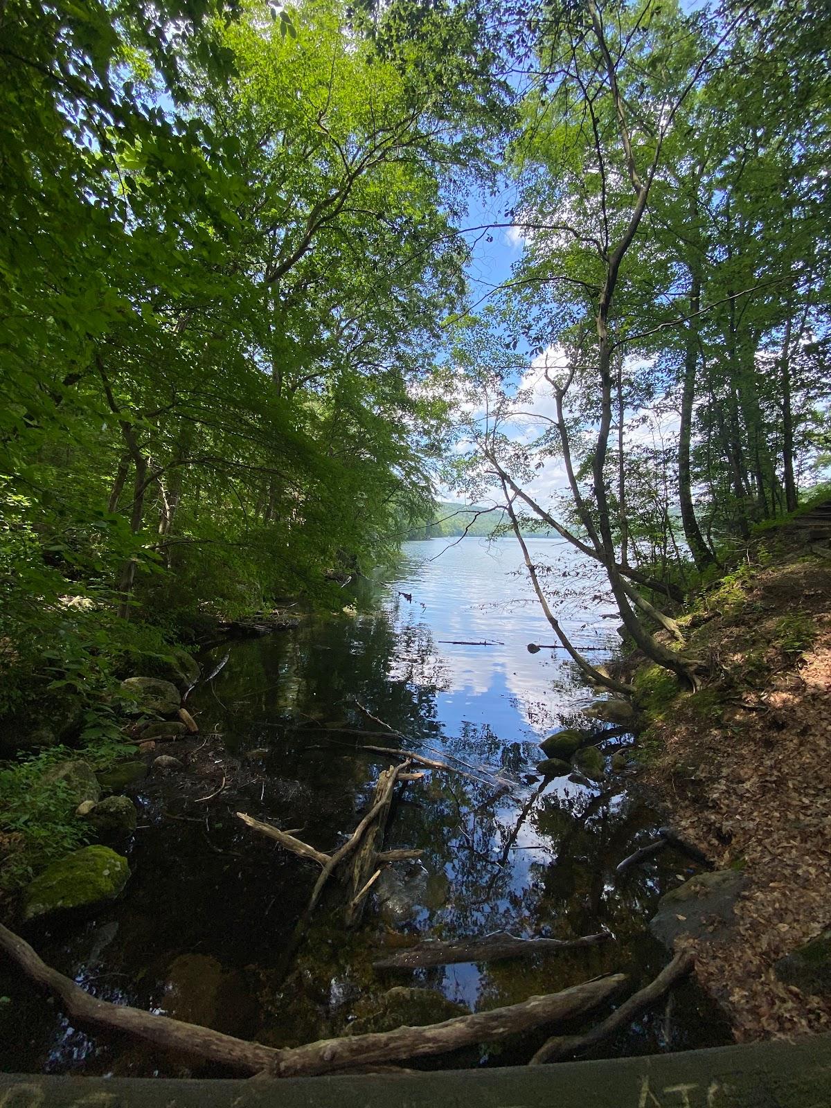 Sandee - Sand Forest Beach