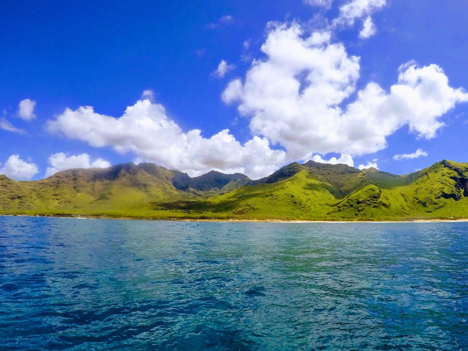 Sandee Waiʻanae District Park Beach Photo