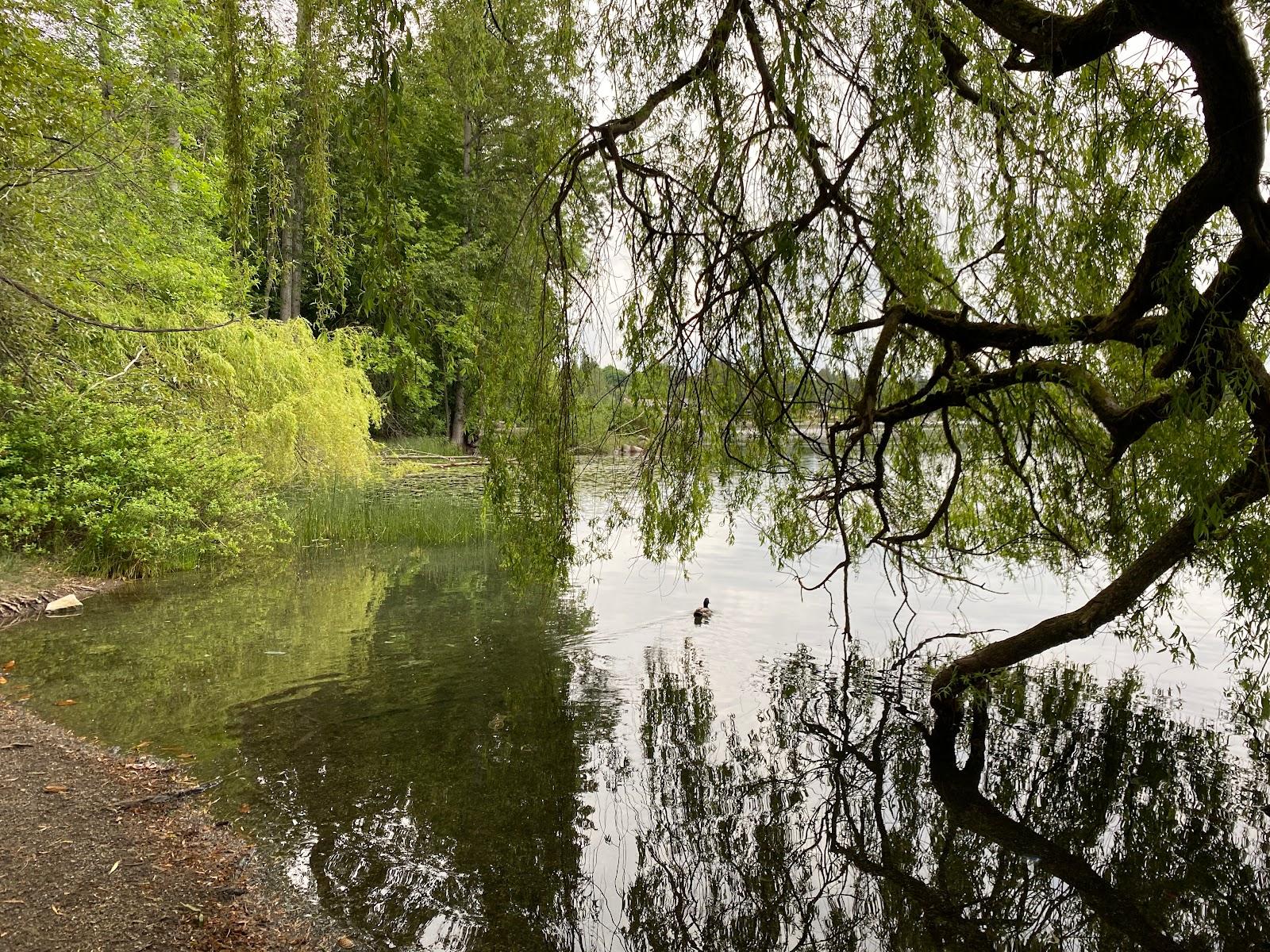 Sandee - Angle Lake Beach