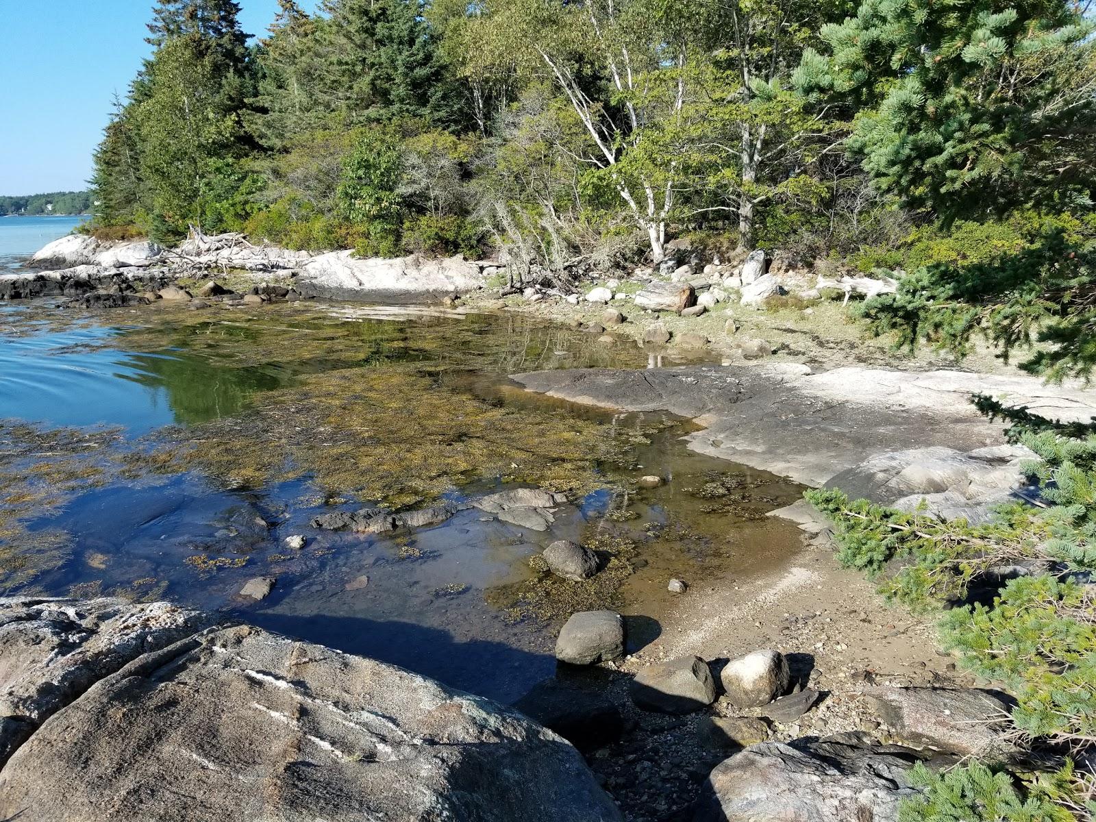 Sandee - Spectacle Island Preserve