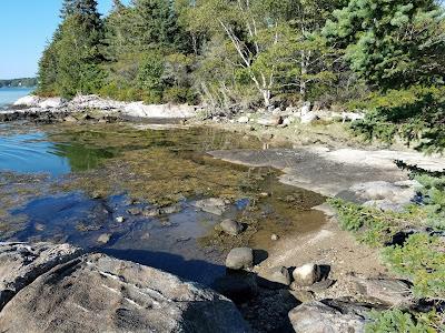 Sandee - Spectacle Island Preserve