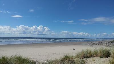 Sandee - Bullards Beach State Park