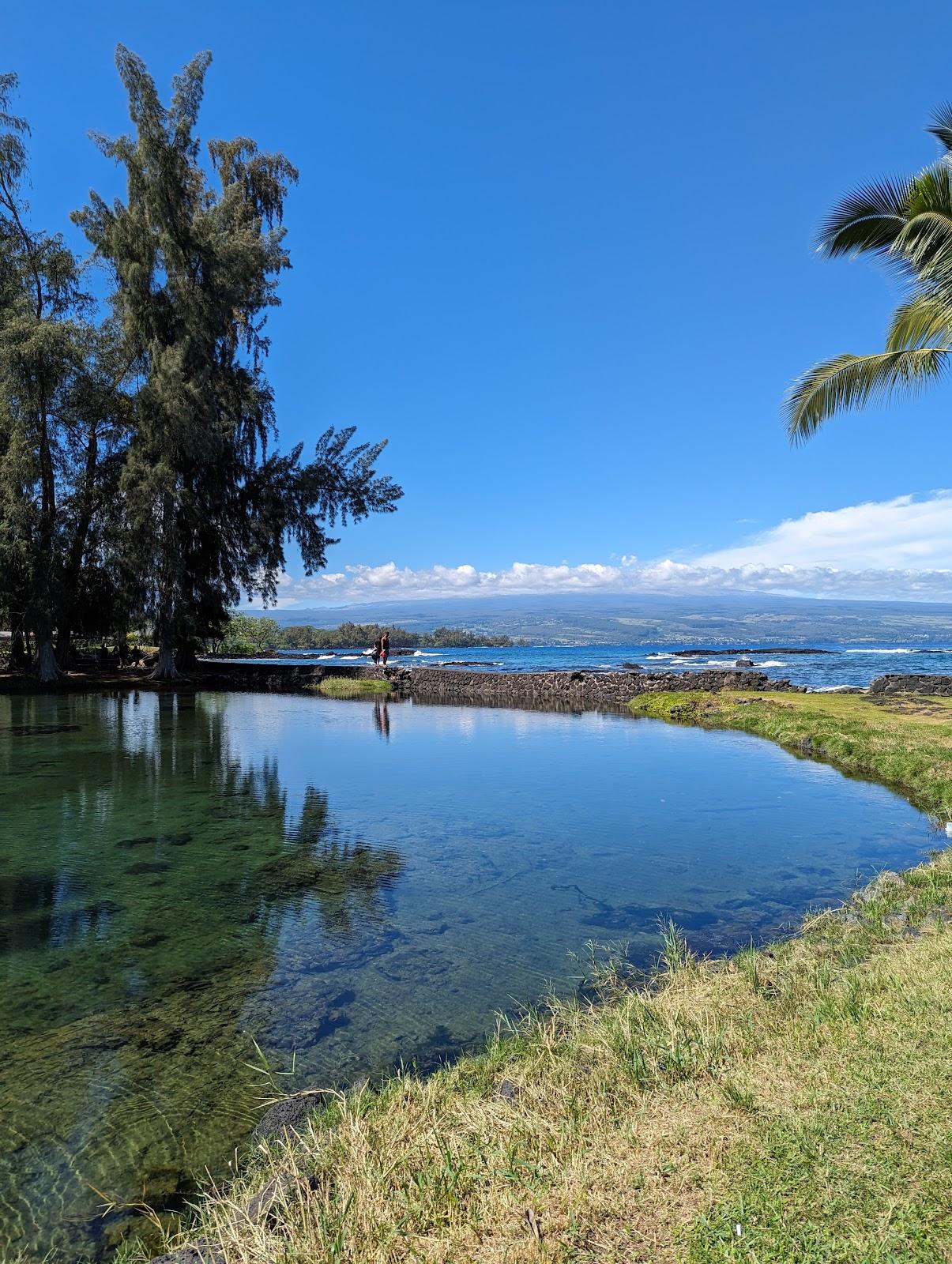 Sandee Richardson Ocean Park Photo