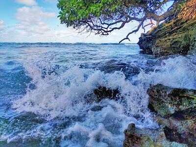 Sandee - Temple Beach Park