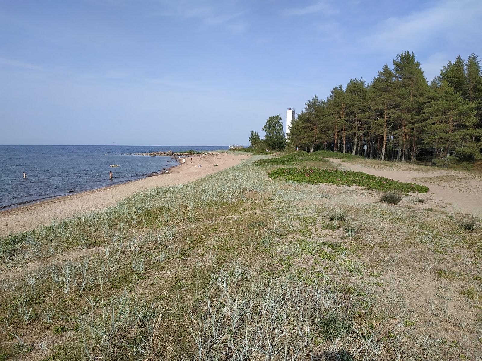 Sandee Vainupea Beach