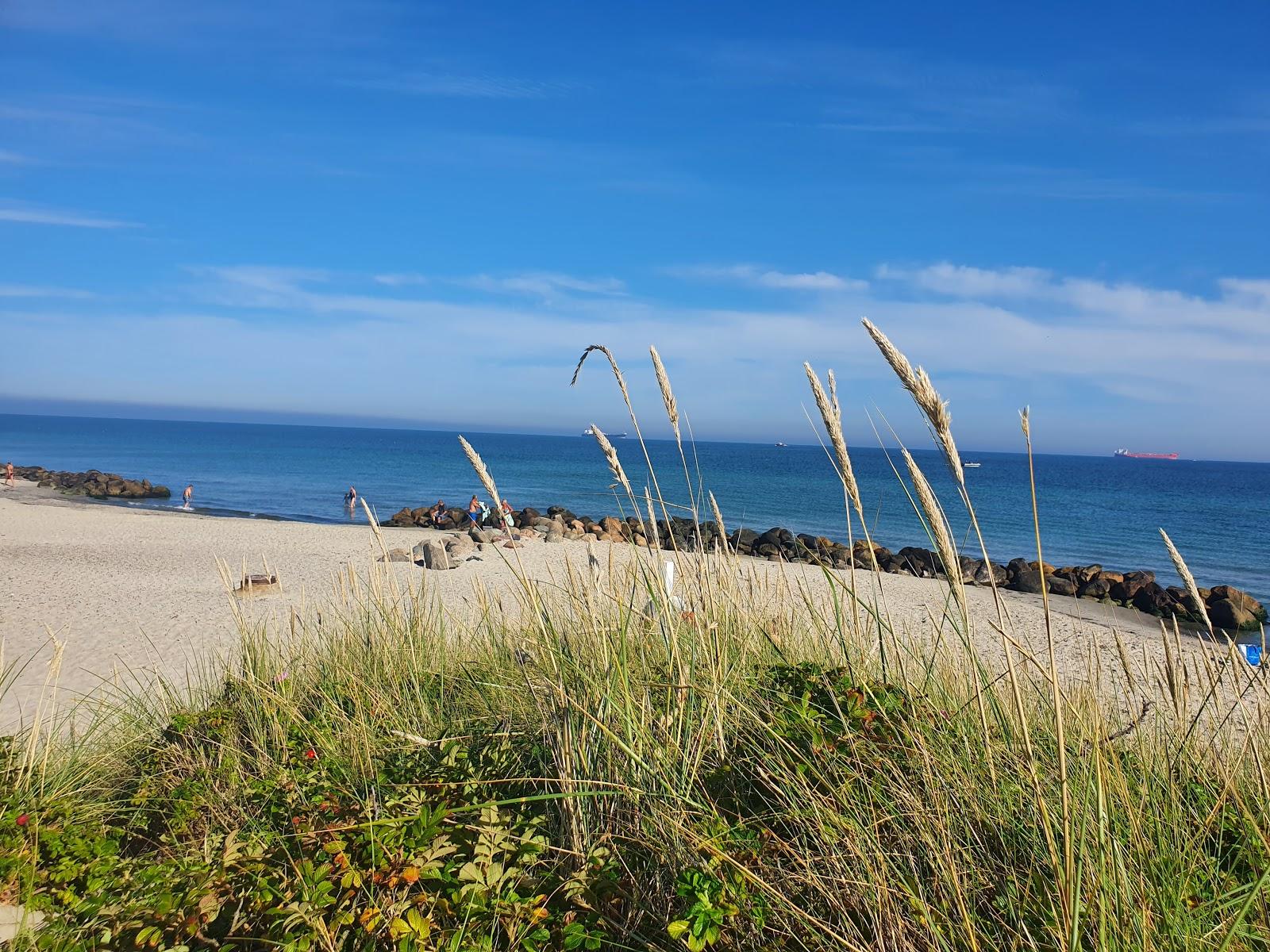 Sandee - Strand Grenen