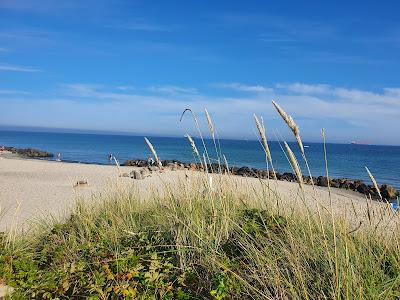 Sandee - Strand Grenen