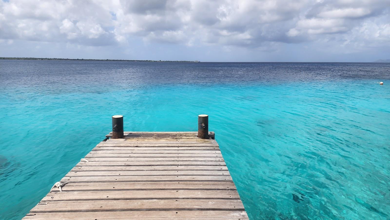 Sandee Buddy's Reef