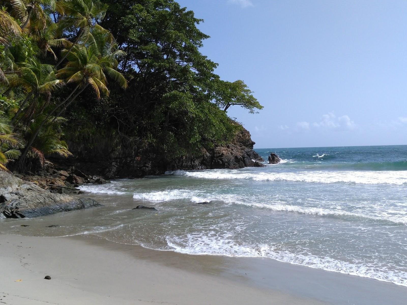 Sandee Murphy Bay