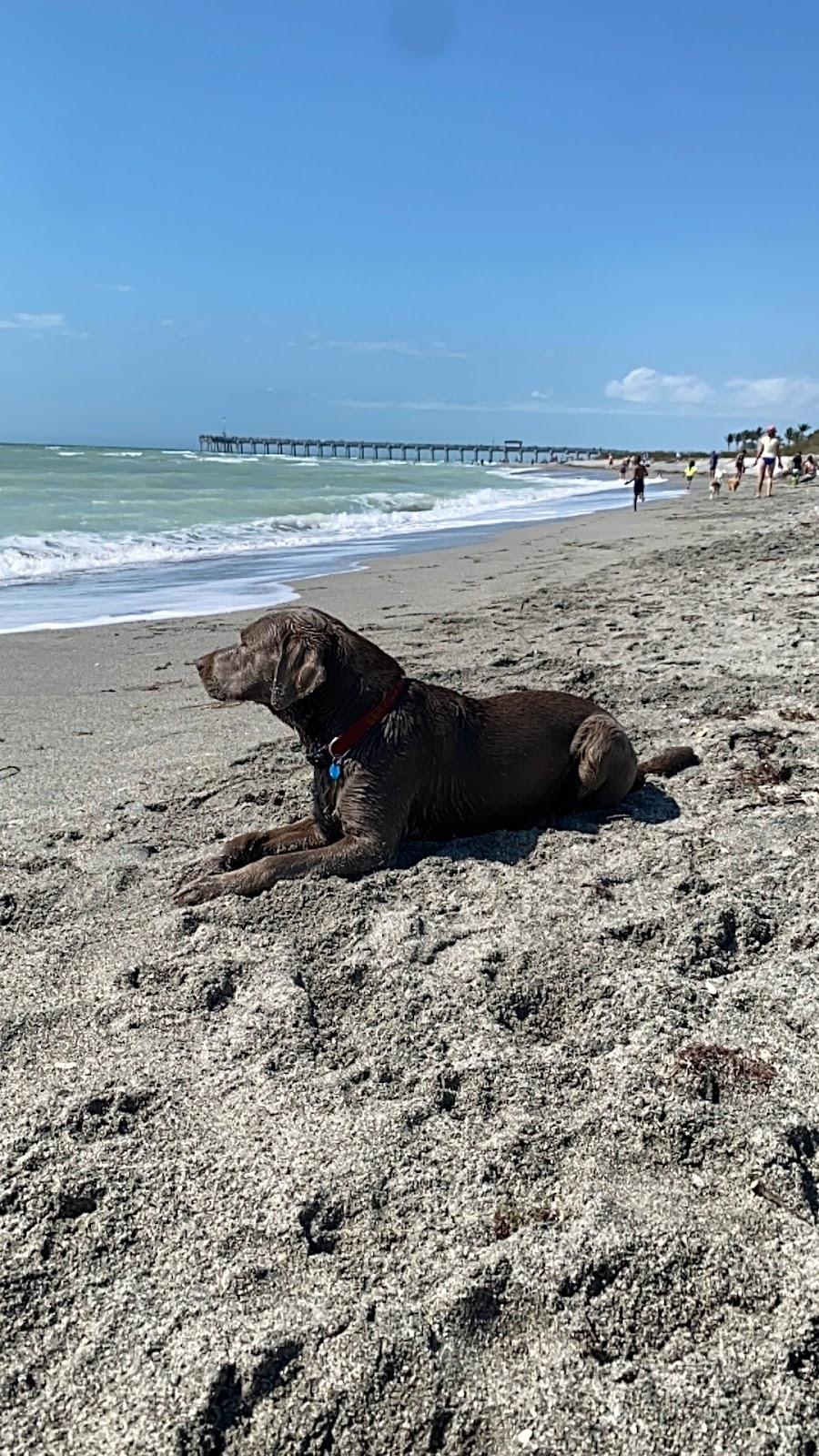 Sandee - South Brohard Park Beach