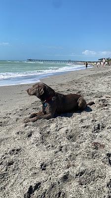 Sandee - South Brohard Park Beach