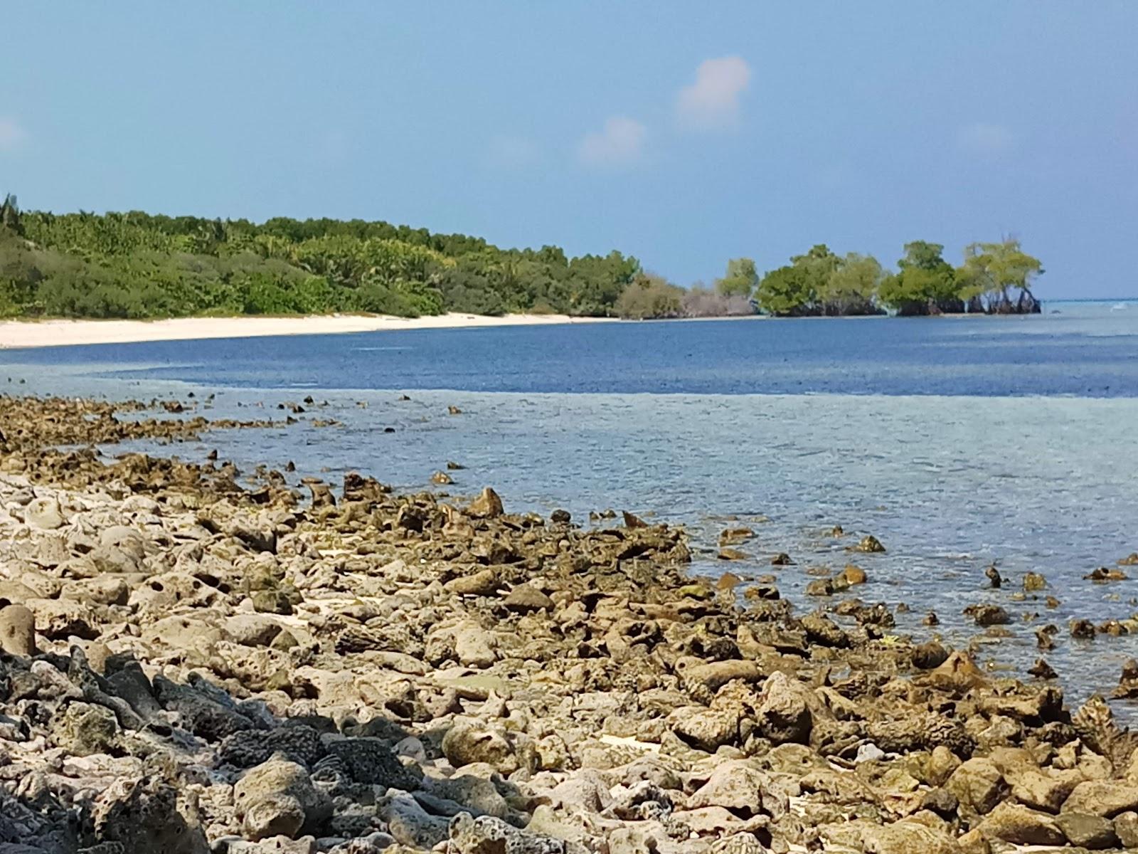 Sandee Rocky Beach Photo