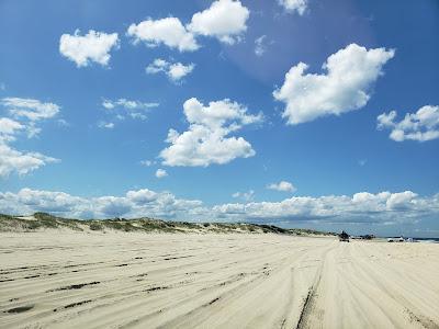 Sandee - Currituck National Wildlife Refuge