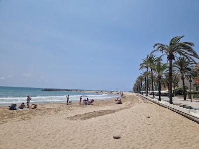 Sandee - Platja Llarga D'Ibersol