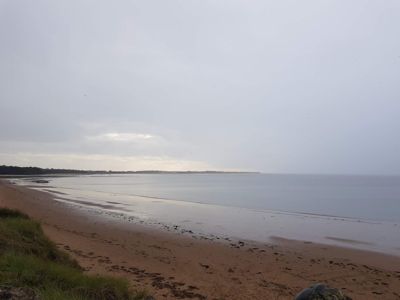 Sandee Askam-In-Furness Beach Photo