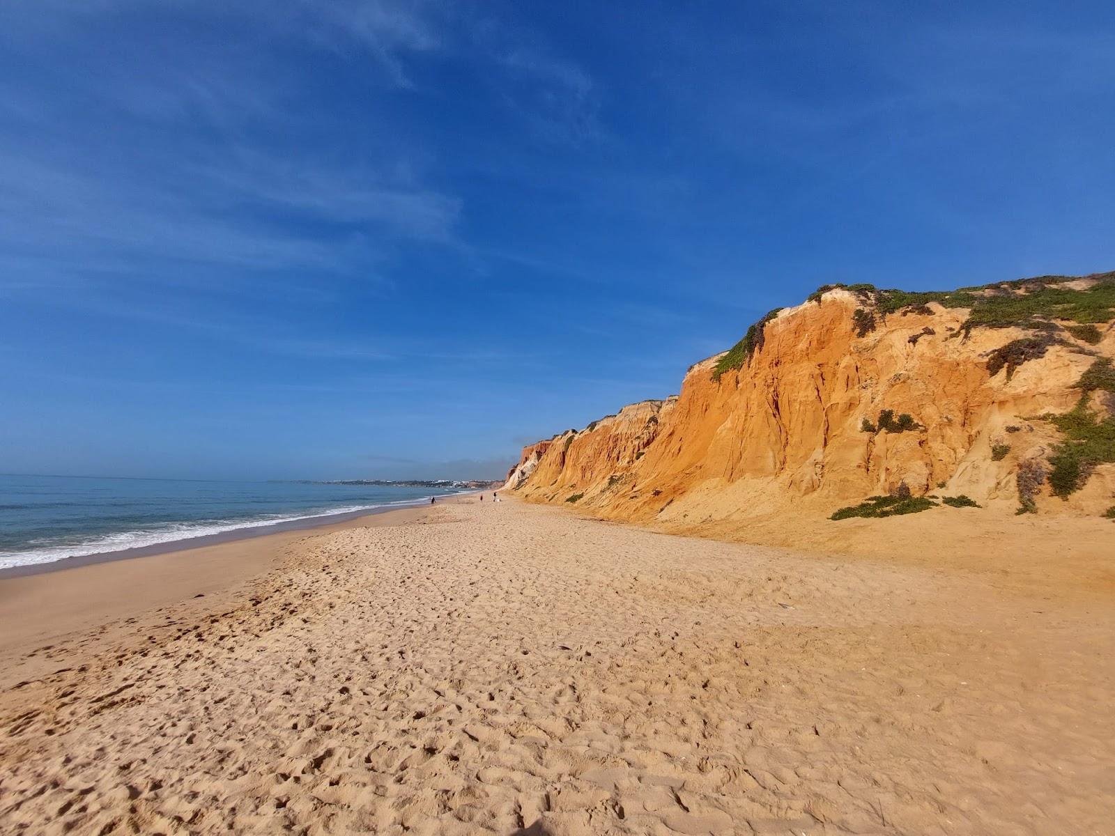 Sandee - Beach Falesia Acoteias