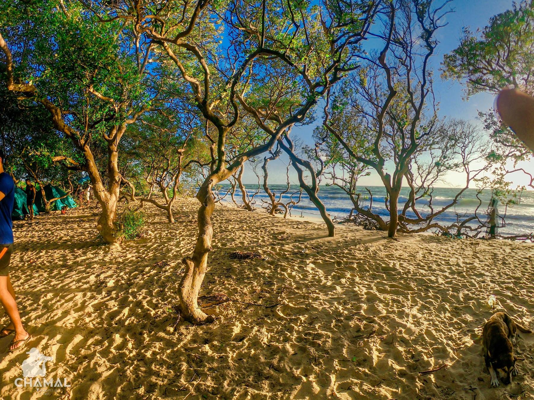 Sandee Baththalangunduwa Beach Camping Photo