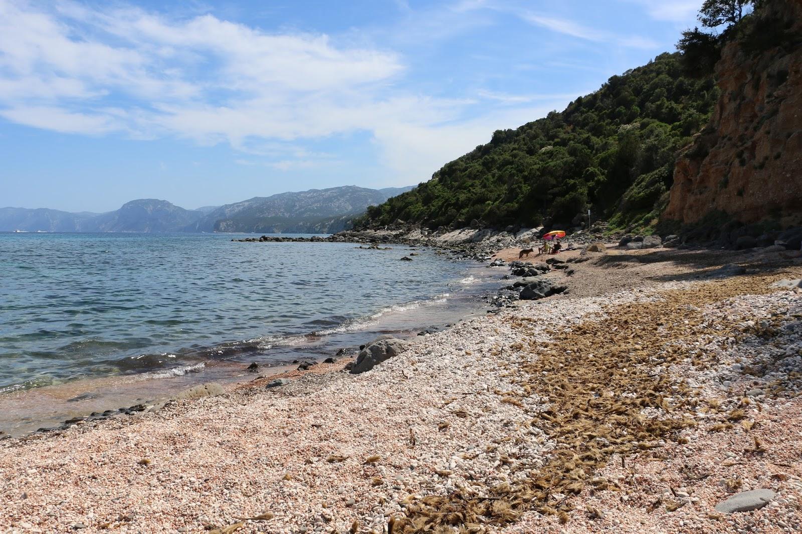 Sandee S'Abba Meica Beach / Dog Beach