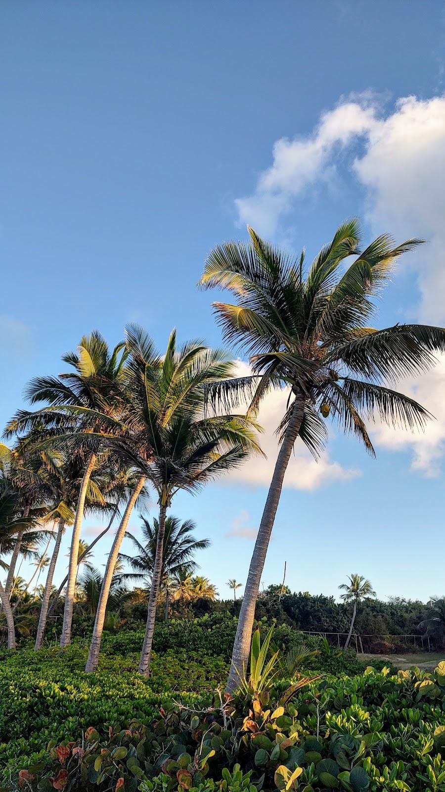 Sandee - Pelican Cove