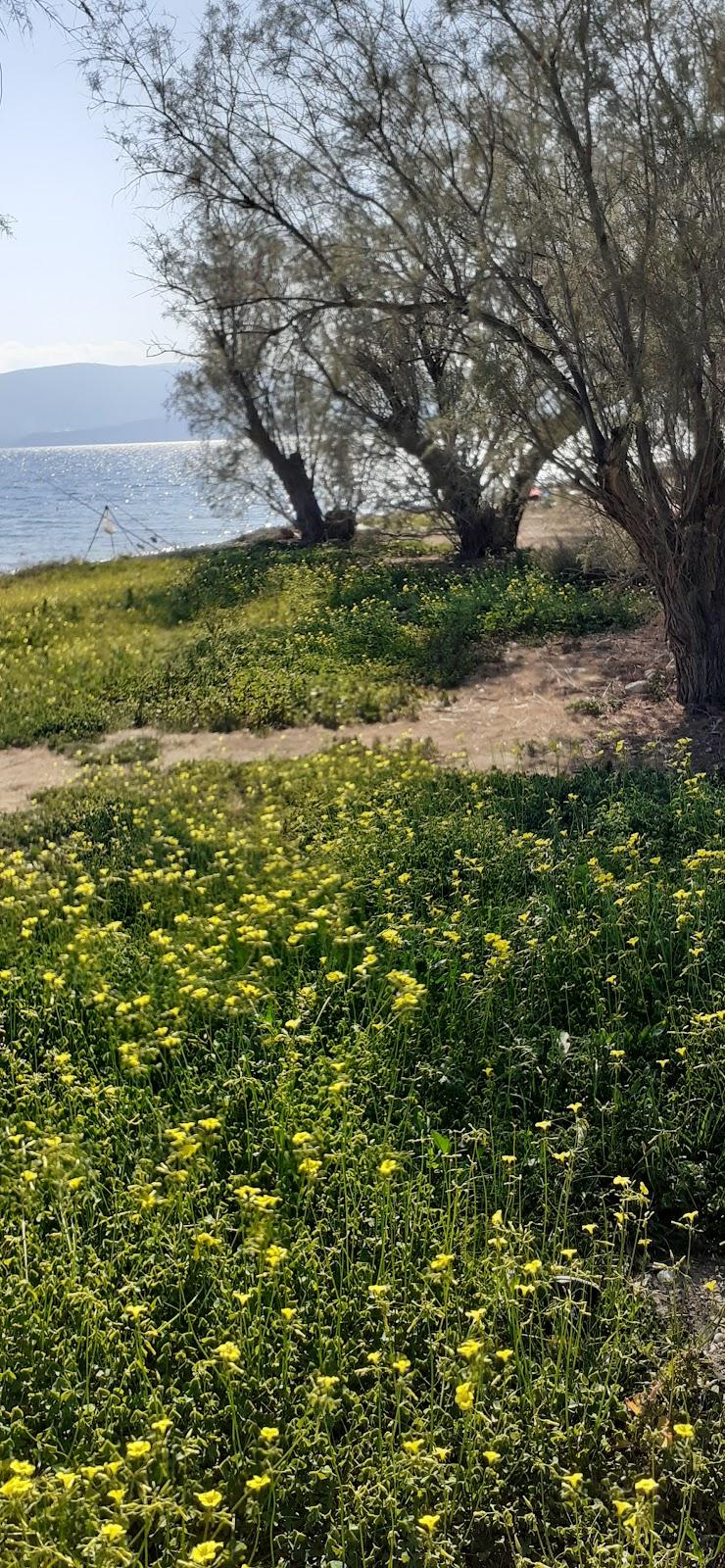 Sandee Soussaki Camping Beach