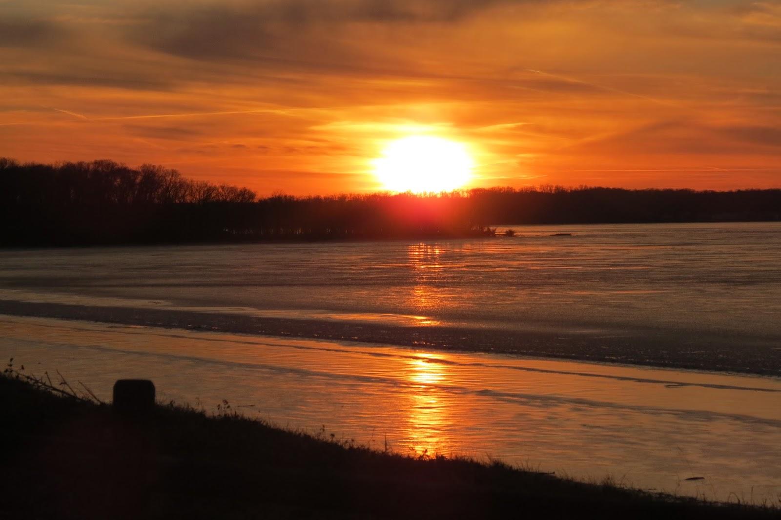 Sandee Mason Neck State Park Photo