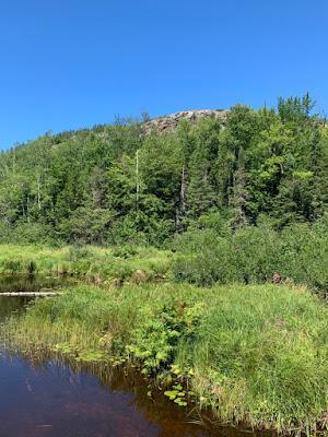 Sandee - Porcupine Mountains Wilderness State Park - West