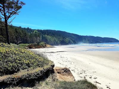 Sandee - Netarts Bay Shellfish