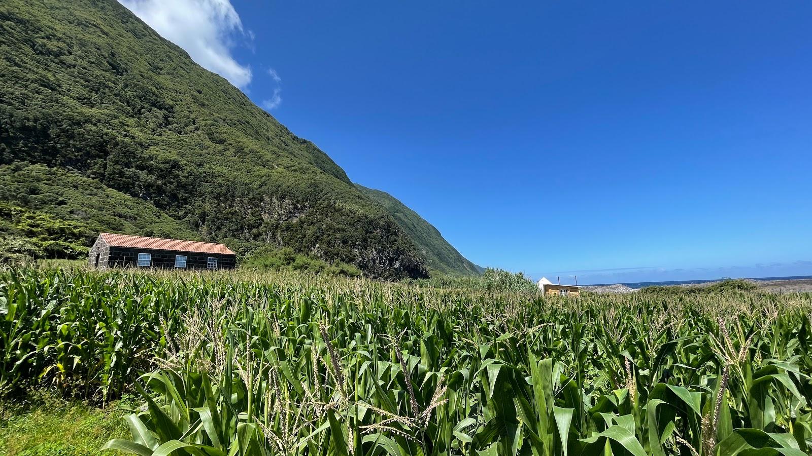 Sandee - Faja Da Caldeira De Santo Cristo Azores