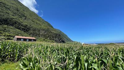 Sandee - Faja Da Caldeira De Santo Cristo Azores